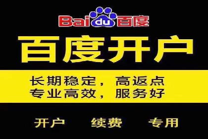 网络推广与竞价优化成功案例